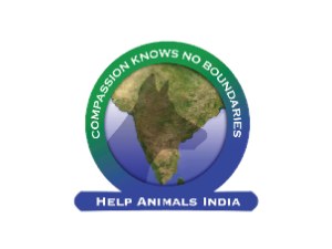 Help Animals India